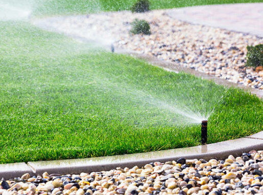 Automatic sprinklers watering lawn