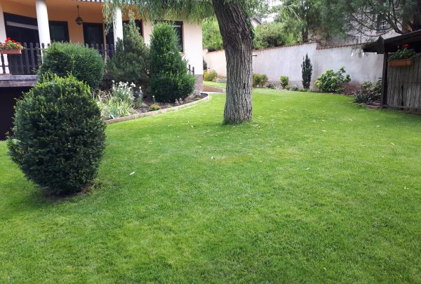 20250804_084448 20250804_084448